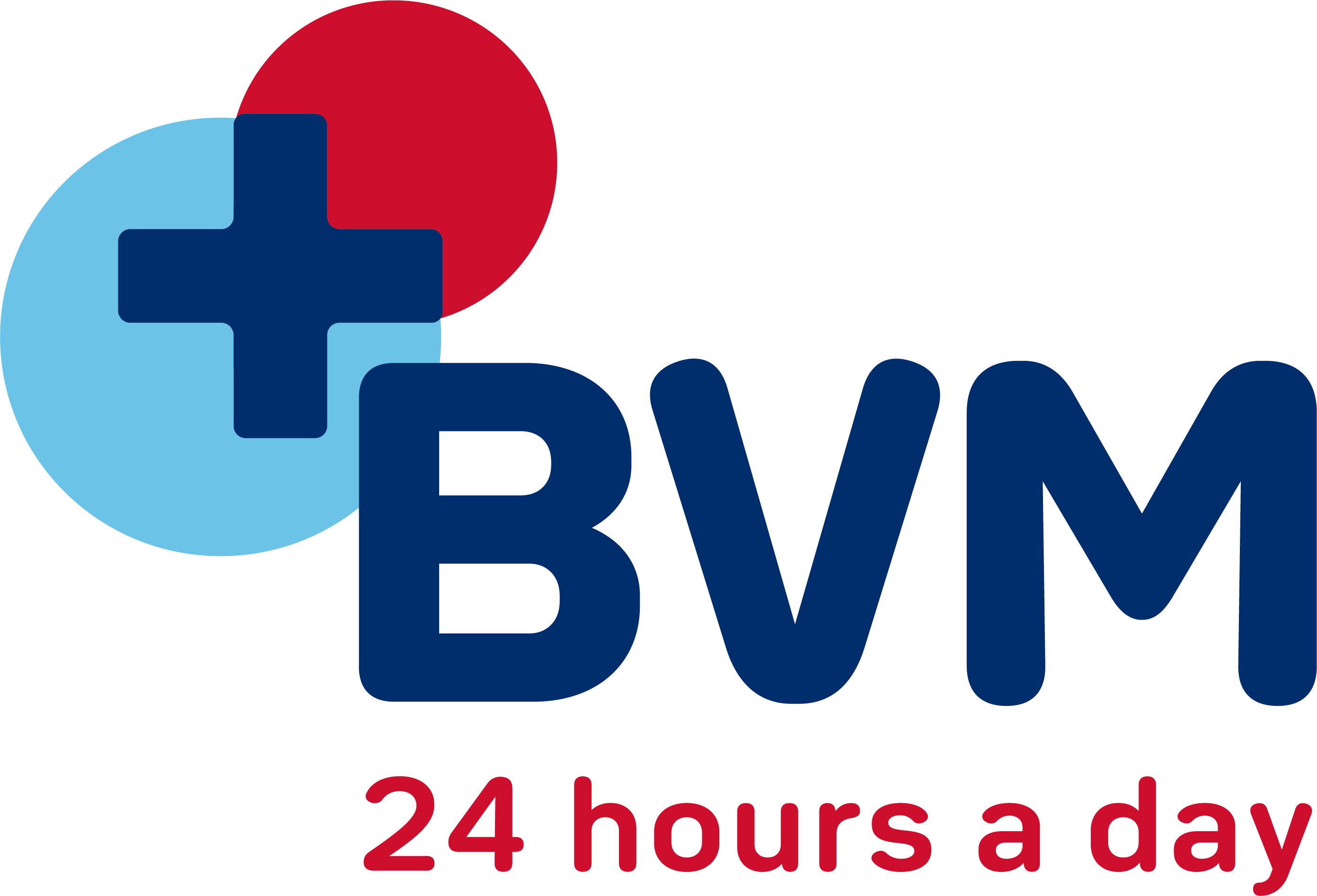 BVM logo